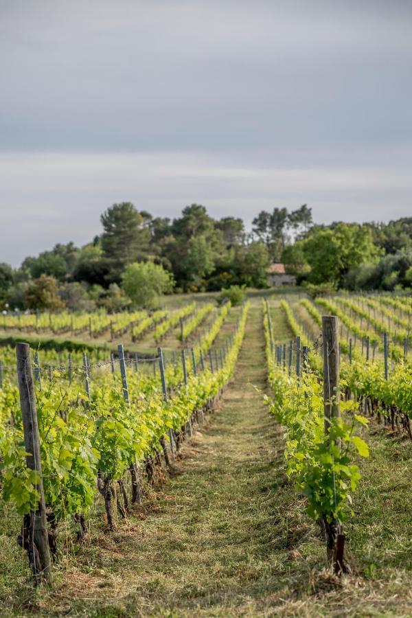 Domaine Rabiega Hotel Clos Dière Draguignan Esterno foto